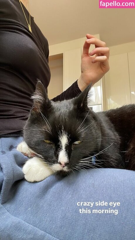 Bubbell art pornstar pics