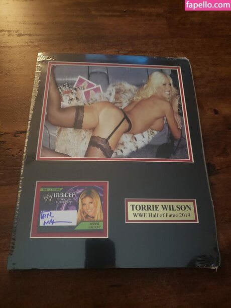 torriewilson star porn img