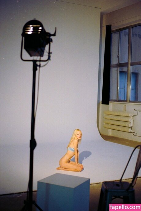 Karina Vasilishin pornstar galleries