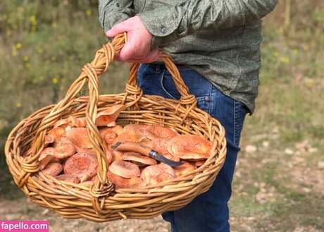 Magicmushroom model perfect images