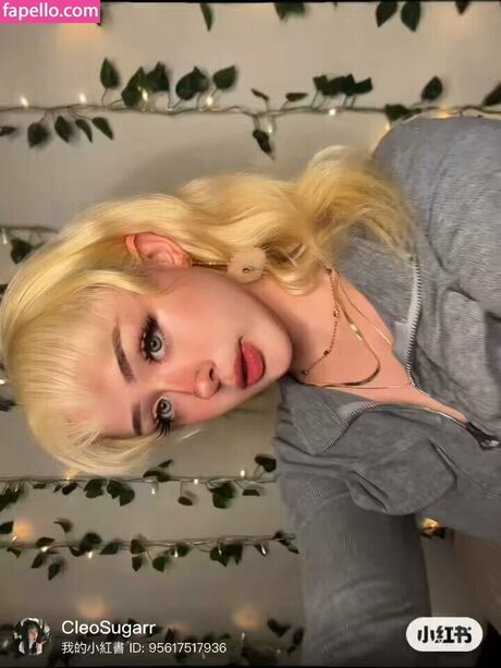 Cleoxsugar model perfect images