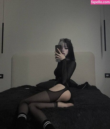 Paradoxy hd star picture