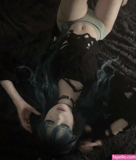 Paradoxy star top galleries