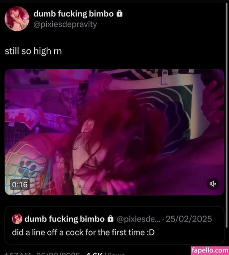 schizobimb0 star pretty gallery