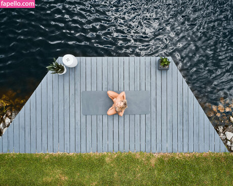 Scarlet Begonias star top picture