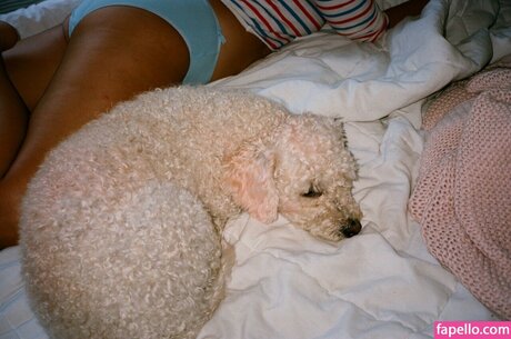 chubby redhead onlyfans hot gallery