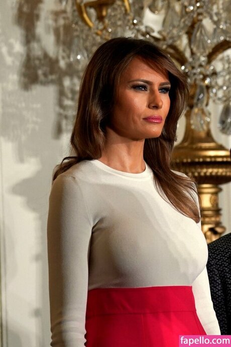 Melania Trump xxx star image