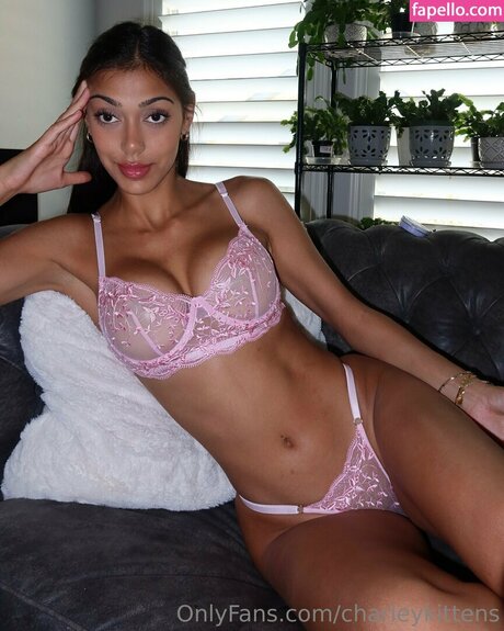 Chelstres model adult photo