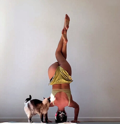 Vildan Cirpan pornstar sexy pictures