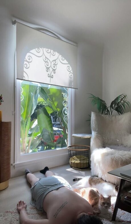 Sarah Schauer art star archive