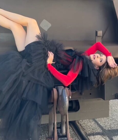 Funda Vanroy star perfect img