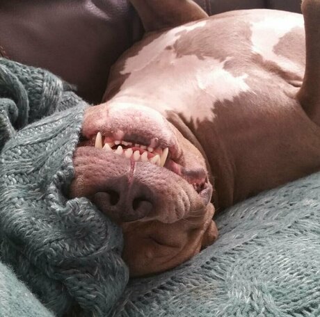 Courtneyhansen model nudes img