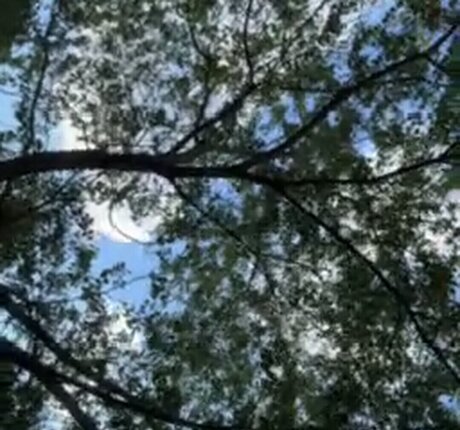 Linda patty94 pornstar high quality photos