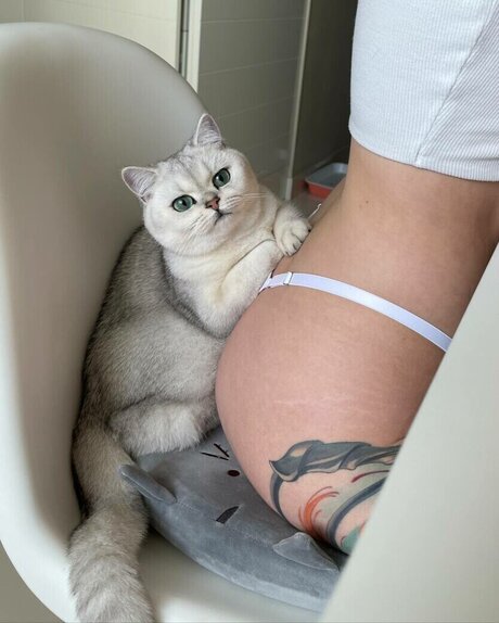 leonesan model nice images