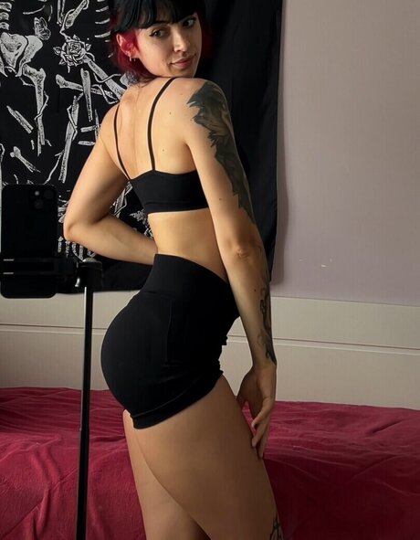 Vaneeeer_ star art archive