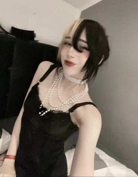 meinekatzeschmecktgut perfect star img