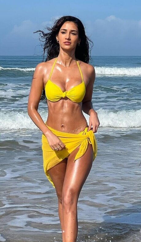 dishapatani star top photos