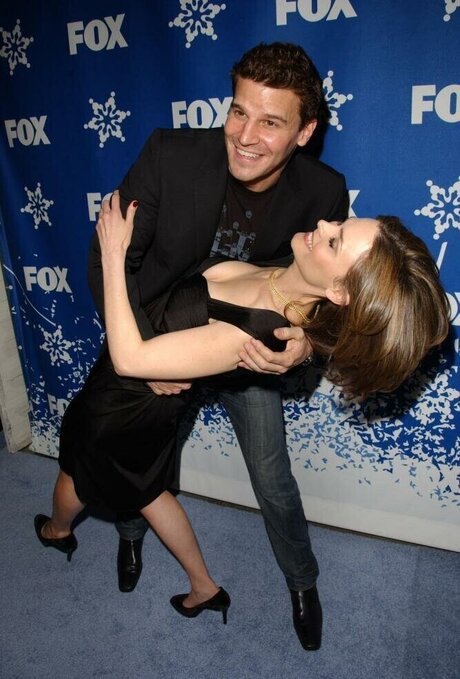 Emily Deschanel art pornstar pics