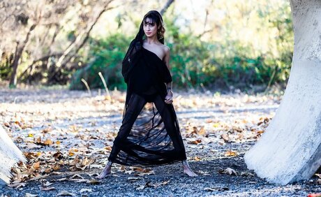 scene onlyfans art porn images