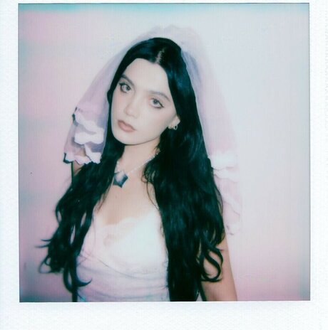 Alessi Rose model free archive