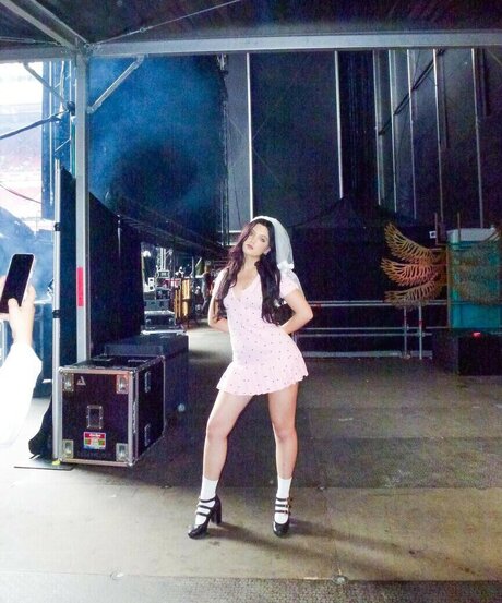 Alessi Rose star free image