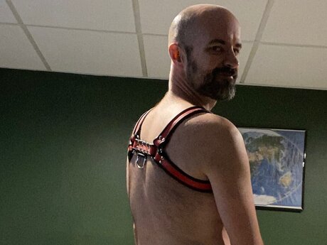 The Dog perfect star picture