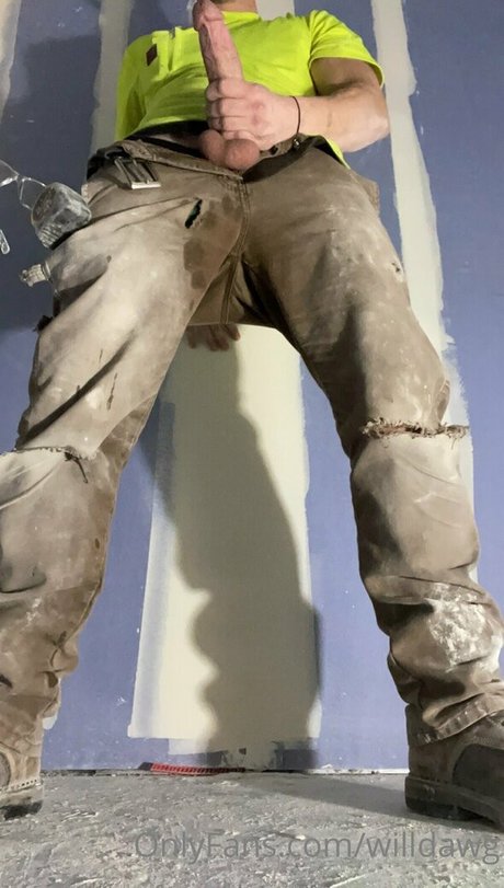 willdawg hd model gallery