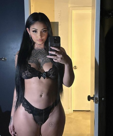 mulanvuittonvip star perfect galleries