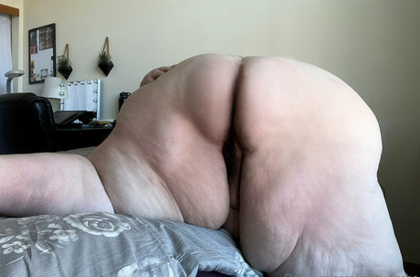 ssbbwsasha top star pics