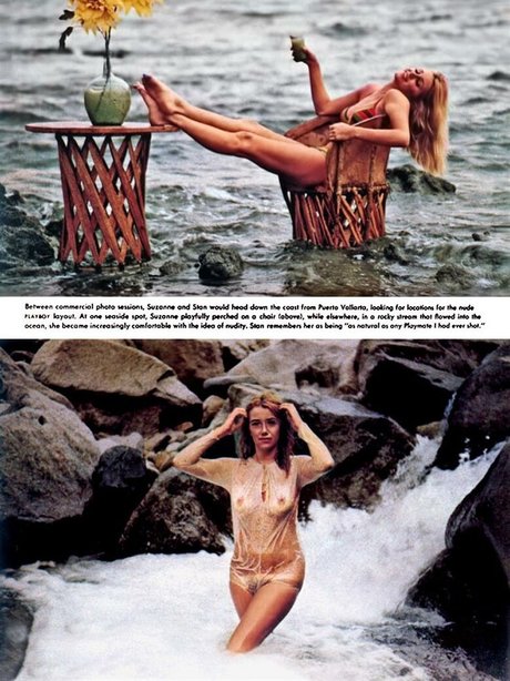 Suzanne Somers erotic model pic