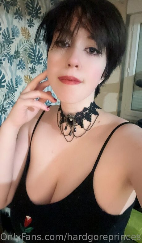 hardgoreprincess adult star pics