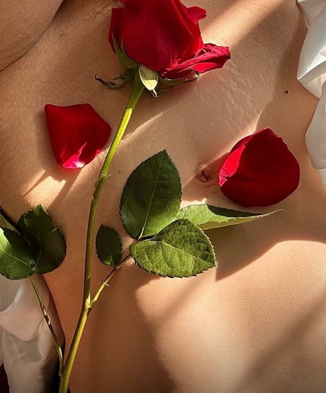 kittymekelsey nudes star pictures