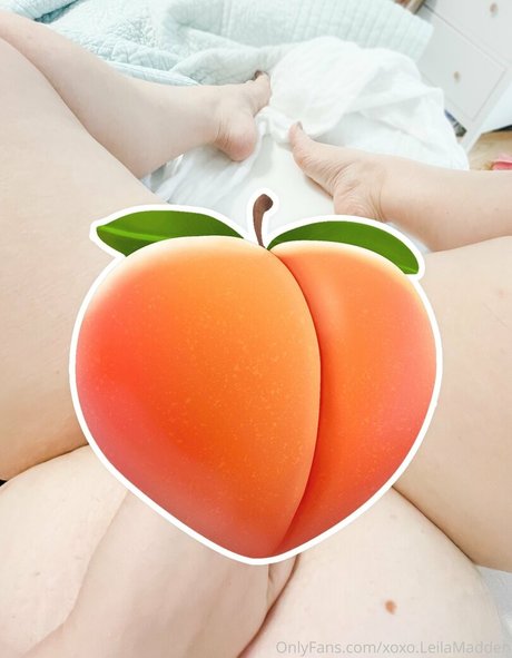 xoxo leilamadden free high quality actress archive