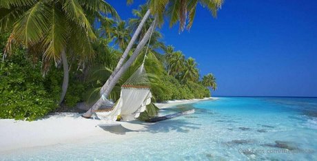 thedakotaa nudes pornstar pictures