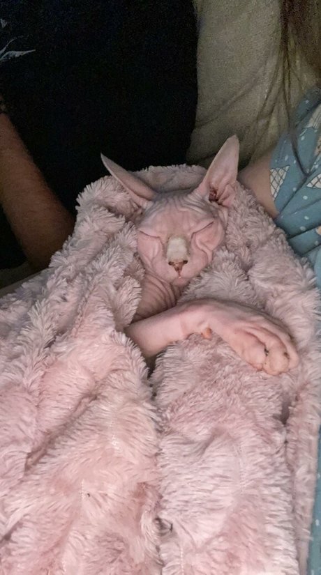 sxvvk pretty model pictures