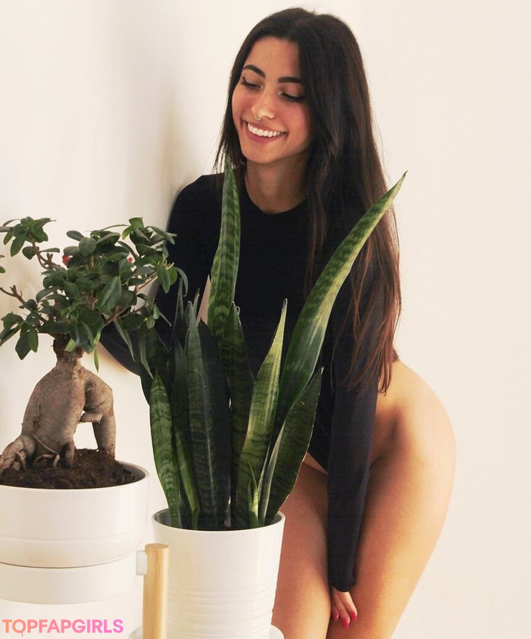 Lucrelisa art star img