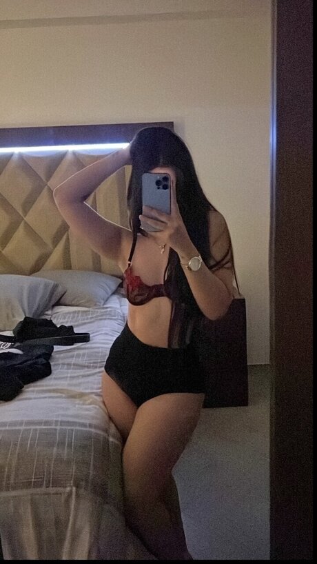 Stephania art star gallery