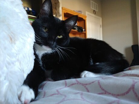 Liz 3 star nice photo