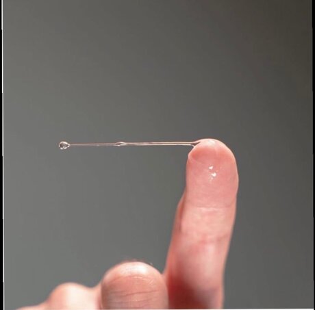 _tommymarlow porn actress archive