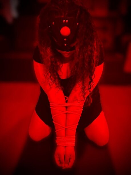 Lyyn perfect pornstar gallery