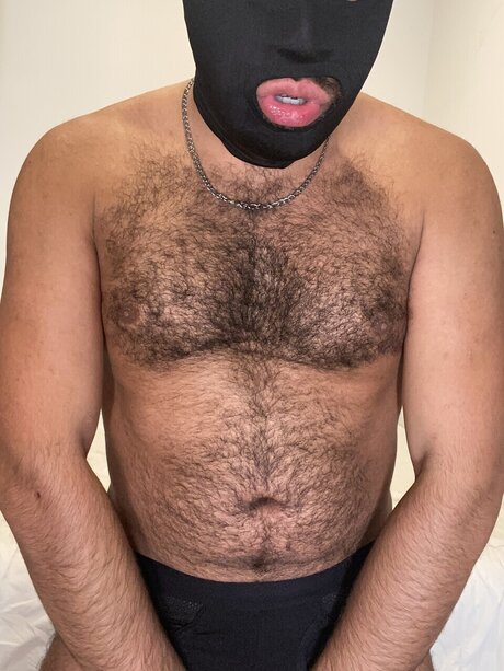 Jack Attack erotic pornstar galleries