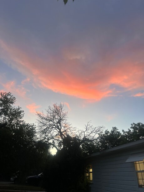 Karma James model hd images