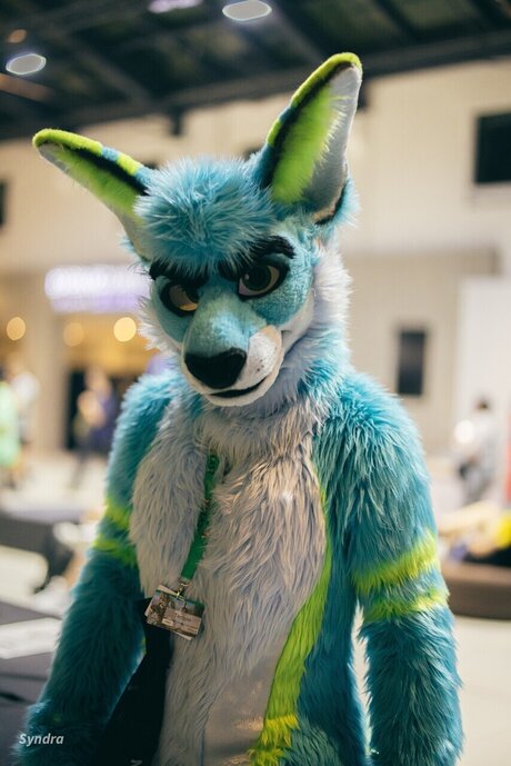 TechRoo and Zoomy pornographic model pic