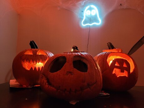 Belle Winter top pornstar img