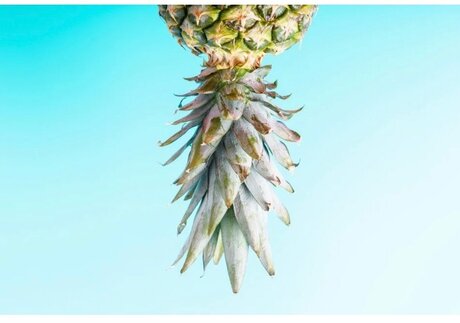 Tara D sexy model img