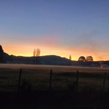 Tavita model naked pics