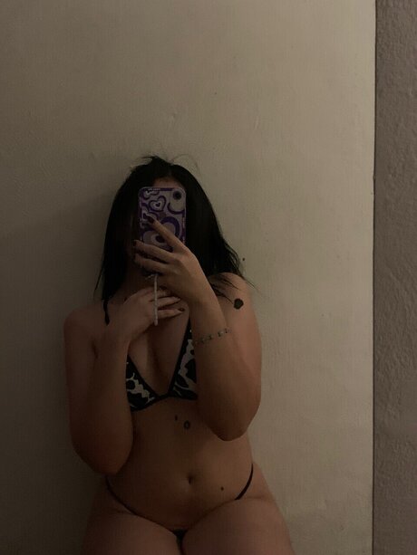 Arizona art model archive