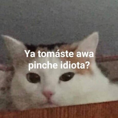 yasmin luna sex star img