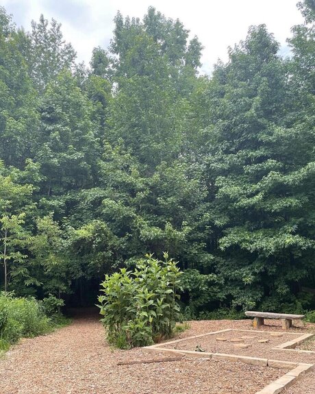 Ollie Morgan adult model pic