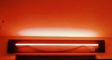 Ms Kuddo porn model archive